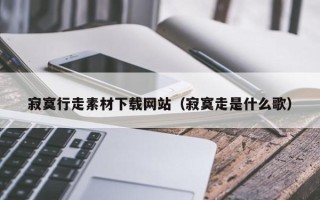 新疆寂寞行走素材下载网站（寂寞走是什么歌）